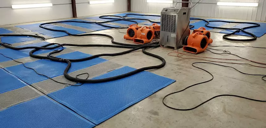 Professional Flooded Carpet Drying Services in Flowery Branch, GA